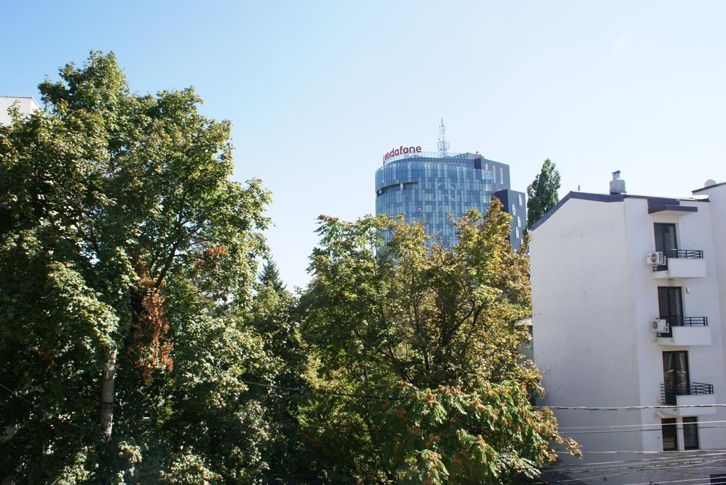 Pensiunea Helvetia Bükreş Oda fotoğraf